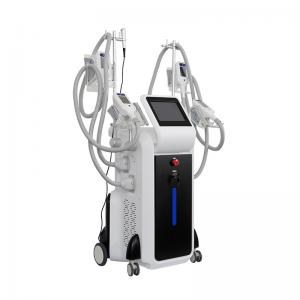 China Medical CE approved cryolipolysis fast freeze slimming machine kryolipolyse body slimming machine with 4 cryo handles supplier
