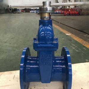China Manual Resilient Gate Valve With Lock Industrial DN50 Gate Valve supplier
