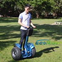 China SGS Two Wheel Electric Vehicle Self Balanced Ecorider Hover Board Skate Board on sale