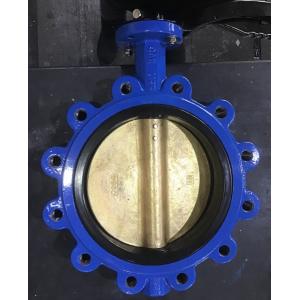 Customized Cast Iron Lever Treated Wafer Lug Concentric Butterfly Valve for Standards