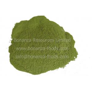 China Air Dried Celery Flour Dehydrated Celery Stalk Powder supplier