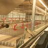 China Multi Tiers H Type Chicks Brooder Cage Small Chicken Cage Fully Automatic wholesale