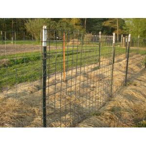 Painted Farm 0.95lb/Ft 800mm Height Steel Fence T Post