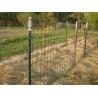 China Painted Farm 0.95lb/Ft 800mm Height Steel Fence T Post wholesale