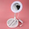 Live Streaming 6W Ring Light With Mirror And Phone Stand