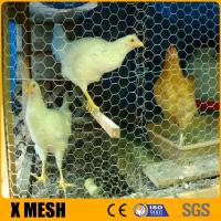 China Hexagonal Chicken Hex Wire Mesh Nettting Galvanized Weave Mesh 0.3mm on sale