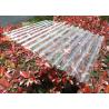 China PC translucent roofing sheets Clear Plastic Corrugated Polycarbonate Sheets 0.8mm-3.0mm Weather Resistance wholesale