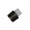 Galvanized Banded Pipe Fitting Plug Threaded Pipe Coupling No.301 Wearable