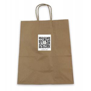 Custom OEM Brown Printed Paper Bag Shopping Kraft Paper Bag