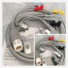 China Accessories Philip 12 pin 5 Clip Lead Europe Standard 989803143191 Work Well Medical Device Hospital Equipment​ wholesale