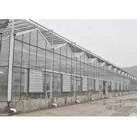 China Venlo Glass Greenhouse on sale