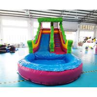 China Multi Color Backyard Palm Tree Jumping Bouncer Water Slide on sale