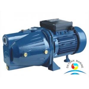 China Portable Marine Water Pump Selfpriming Jet For Cleaning Water supplier