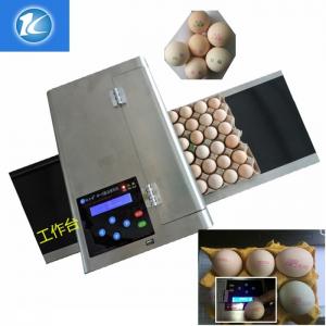 China High Resolution Egg Marking Equipment ,  Edible Grade Quick Dry Ink Egg Printer supplier
