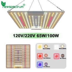 Full Spectrum 100w Led Light Thin Quantum Board Lamp AC100V No Flicker Driver