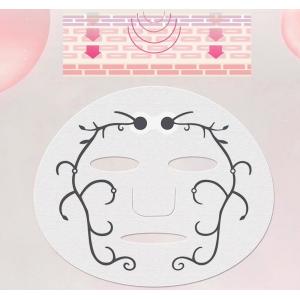 Facial Mask For Ladies Use Micro Current Technology Ion Electric Deep Moisturizing Mask