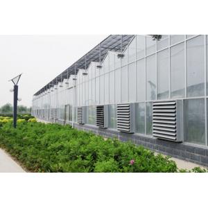 China Agricultural Venlo Type Greenhouse , Stable Structure Polycarbonate Sheet Greenhouse supplier