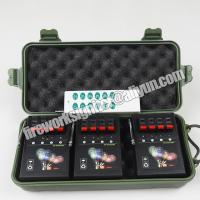 China 12 Cues Wireless remote control Fireworks Firing System on sale