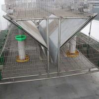 China Automatic Galvanized Rabbit Cages , Female Rabbit 24 Cells Modern Rabbit Cage on sale