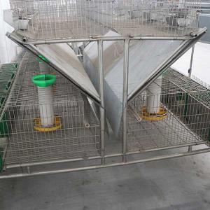 Automatic Galvanized Rabbit Cages , Female Rabbit 24 Cells Modern Rabbit Cage