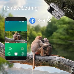 China KW865 WIFI Hidden Camera For Outdoor Wireless Hunting Camera Trail Camera That Sends Pictures To Your Phone supplier