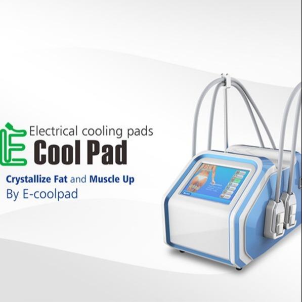 110V 60Hz Portable Fat Freezing Machine , Electrical Muscle Stimulation