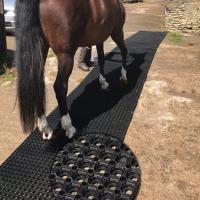 China Heavy Duty Washable Rubber Horse Stall Mats For Washdown Areas Field Shelters And For Muddy Gateways on sale