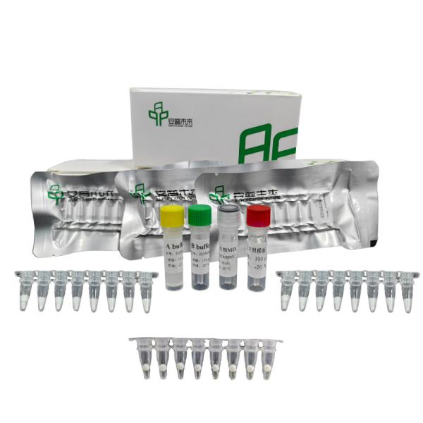 Highly Sensitive Isothermal RNA Amplification Kit With Fast Reaction Time