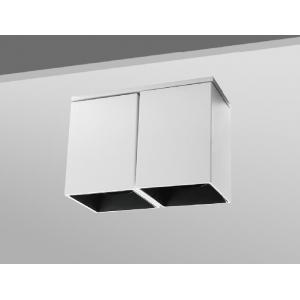 IP44 Double Head LED Ceiling Light 20W Surface Mounted Downlight LED Spotlights