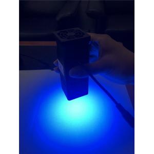 Mini Flashlight LED 365nm 405nm Portable UV Light