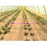 1g/m Stable Agricultural Tomato Tying Twine High Tenacity Different Colored