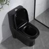 China 300mm Siphonic One Piece Toilet American Standard Black Porcelain wholesale