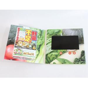 Large Screen Printing Paper Video Talking Card With Speaker 1000 - 10000m Ah Battery