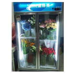 China Fruits Vegetable Display Chiller 604L Commercial Vegetable Refrigerator supplier