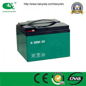 China Factory Price Sealed Lead Acid 48V65ah Battery for Electric Vehicle supplier