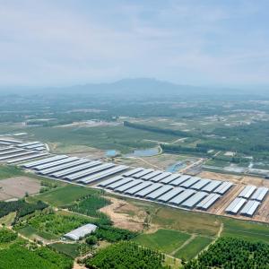 China Étagère moderne en acier léger avec structure en acier galvanisé supplier