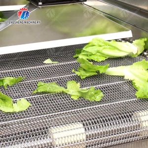 China 装置を流出させる4.5KW果物と野菜の加工ライン振動 wholesale