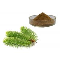 China Pine Leaves Herbal Extract Powder on sale