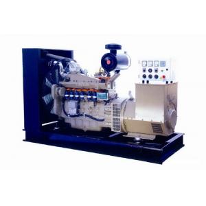 280KVA 110V Natural Gas Generator Set , 3 Phase CNG Generator Set CE Certified