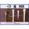 Hot Deep Galvanized Railway Sleeper Screws HEX Head Screw Spike