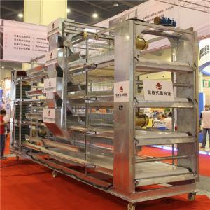 China 4 Tiers 4 Door Battery Brooder Cages Automatic Cleaning System supplier