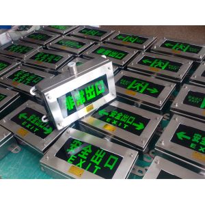 China Luz de emergencia de evacuación de 3W, 120-180 minutos, montada en pared, colores personalizados, indicadores LED, superficie personalizable para Zona 1 y Zona 2 wholesale