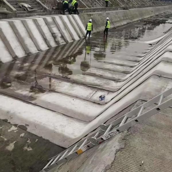 Le toit, le jardin, la route, le tunnel, l' isolation thermique, la toile de ciment avec inspection sur place.