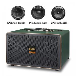 11KG Outdoor Portable Karaoke Party Speaker Bluetooth With 2 Mic