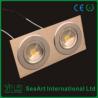 Lampe de plafond des têtes 10W LED d'AC90-260V deux/lumière de l'induction LED