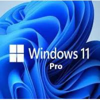China Windows 11 Professional Best For Small Businesses Simple And Flexible Management on sale