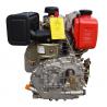 Low Fuel Consumption 12Hp Diesel Engine With 5.5L Fuel Tank Capacity