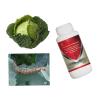 China Keep Your Corn Healthy with Maize Crop Pesticides Liquid Formulation and 2 Years Shelf Life wholesale