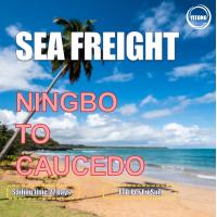 China 27 Days Sea Freight Shipping Agency From Ningbo To Caucedo Dominican Republic on sale