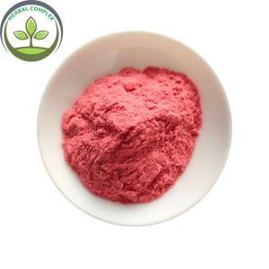 GMP Factory  Wholesale Maqui Berry Powder